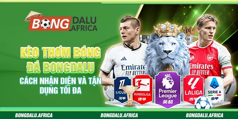 Kèo Thơm Bóng Đá Bongdalu – Cách Nhận Diện Và Tận Dụng Tối Đa