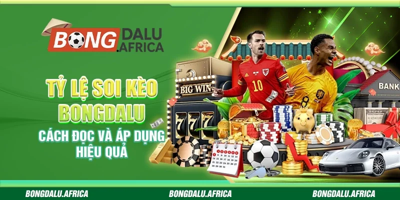Tỷ Lệ Soi Kèo Bongdalu – Cách Đọc Và Áp Dụng Hiệu Quả
