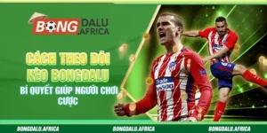 Cách Theo Dõi Kèo Bongdalu – Bí Quyết Giúp Người Chơi Cược