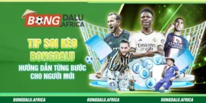 Tip Soi Kèo Bongdalu – Hướng Dẫn Từng Bước Cho Người Mới