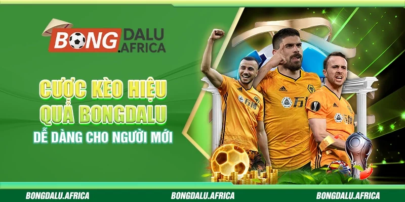 Cược Kèo Hiệu Quả Bongdalu – Dễ Dàng Cho Người Mới