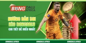Hướng Dẫn Soi Kèo Bongdalu – Chi Tiết Dễ Hiểu Nhất