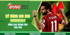 Kỹ Năng Soi Kèo Bongdalu – Đỉnh Cao Dành Cho Tân Thủ