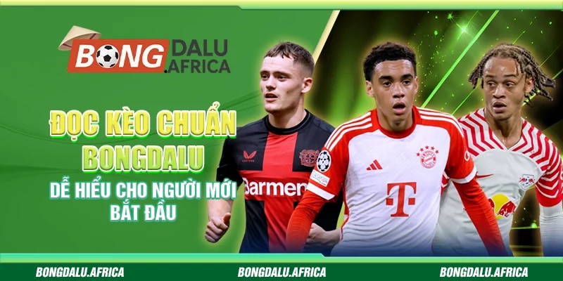 Đọc Kèo Chuẩn Bongdalu – Dễ Hiểu Cho Người Mới Bắt Đầu