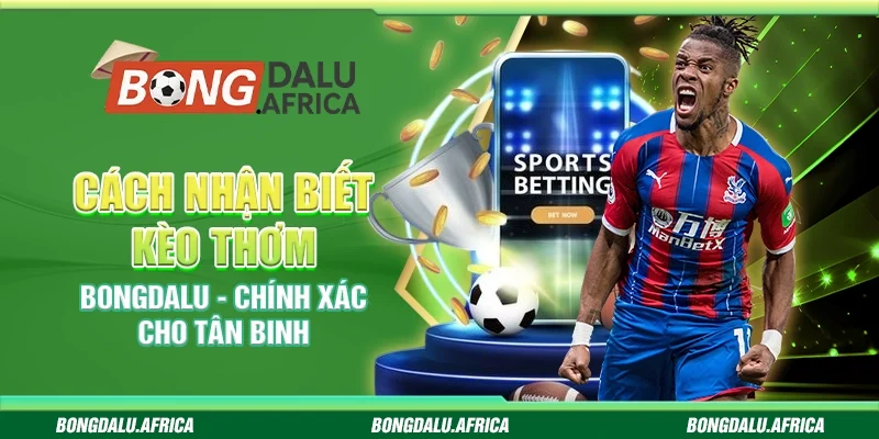 Cách Nhận Biết Kèo Thơm Bongdalu – Chính Xác Cho Tân Binh