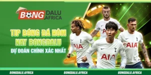 Tip Bóng Đá Hôm Nay Bongdalu – Dự Đoán Chính Xác Nhất