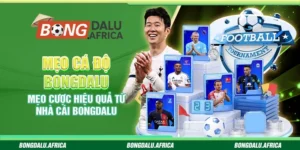 Mẹo Cá Độ Bongdalu  – Mẹo Cược Hiệu Quả Từ Nhà Cái 