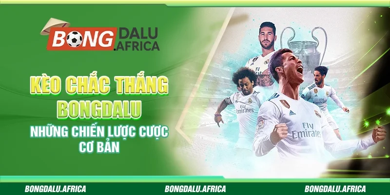 Kèo Chắc Thắng Bongdalu – Những Chiến Lược Cược Cơ Bản