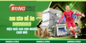 Soi Kèo Dễ Ăn Bongdalu – Hiệu Quả Cao Cho Người Chơi Mới