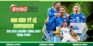 Soi Kèo Tỷ Lệ Bongdalu – Soi Kèo Chuẩn Từng Giây Từng Phút