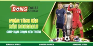 Phân Tích Kèo Đấu Bongdalu - Giúp Bạn Chọn Kèo Thơm