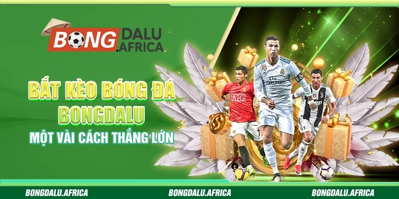 Bắt Kèo Bóng Đá Bongdalu – Một Vài Cách Thắng Lớn