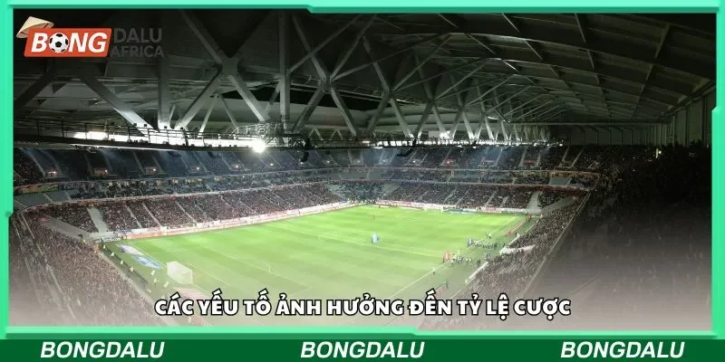 Các yếu tố ảnh hưởng đến tỷ lệ cược