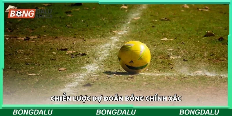 Chiến lược dự đoán bóng chính xác