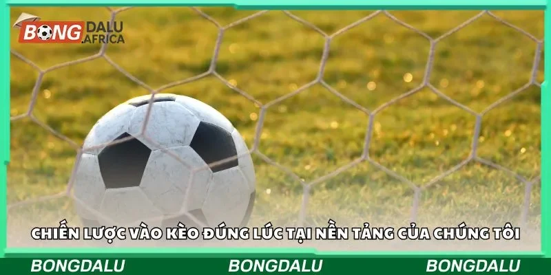 Chiến lược vào kèo đúng lúc tại nền tảng của chúng tôi