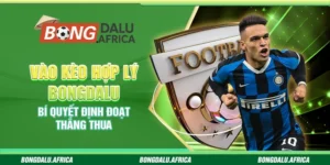 Vào kèo hợp lý bongdalu – Bí quyết định đoạt thắng thua