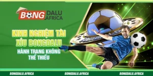 Kinh nghiệm tài xỉu bongdalu – Hành trang không thể thiếu