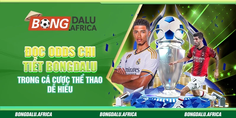 Đọc Odds Chi Tiết Bongdalu – Cá Cược Thể Thao Dễ Hiểu