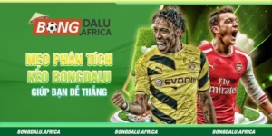 Mẹo Phân Tích Kèo Bongdalu – Giúp Bạn Dễ Thắng