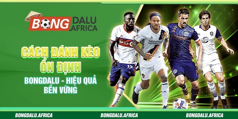 Cách Đánh Kèo Ổn Định Bongdalu – Hiệu Quả Bền Vững
