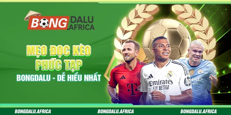 Hướng Dẫn Chọn Kèo Phụ Bongdalu – Dễ Hiểu, Trúng Cao