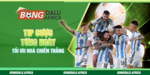 Tip Cược Từng Ngày Bongdalu – Tối Ưu Hoá Chiến Thắng