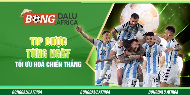 Tip Cược Từng Ngày Bongdalu – Tối Ưu Hoá Chiến Thắng