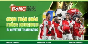 Chọn Trận Chắc Thắng Bongdalu – Bí Quyết Để Thành Công