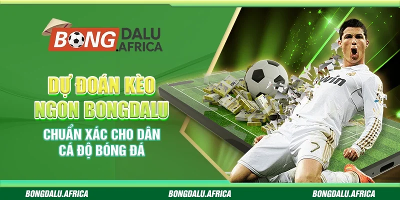 Dự Đoán Kèo Ngon Bongdalu – Chuẩn Xác Cho Dân Cá Độ Bóng Đá