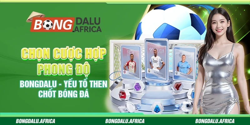 Chọn Cược Hợp Phong Độ Bongdalu – Yếu Tố Then Chốt Bóng Đá 