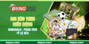 Soi Kèo Theo Biến Động Bongdalu - Phân Tích Tỷ Lệ Kèo 