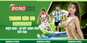 Tránh kèo dụ bongdalu hiệu quả – Bí kíp sinh tồn bất bại