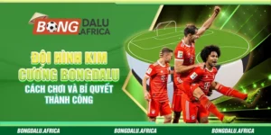 Đội Hình Kim Cương Bongdalu – Cách Chơi Và Bí Quyết Thành Công