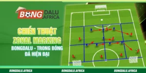 Chiến Thuật Zonal Marking Bongdalu - Trong Bóng Đá Hiện Đại