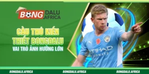 Cầu Thủ Kiến Thiết Bongdalu – Vai Trò Ảnh Hưởng Lớn