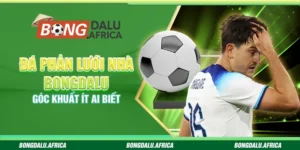 Đá Phản Lưới Nhà Bongdalu – Góc Khuất Ít Ai Biết