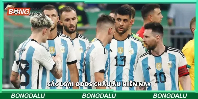 Các loại odds châu âu hiện nay