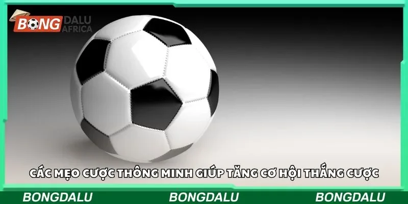 Các mẹo cược thông minh giúp tăng cơ hội thắng cược