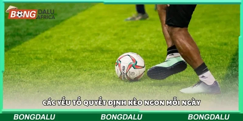 Các yếu tố quyết định kèo ngon mỗi ngày