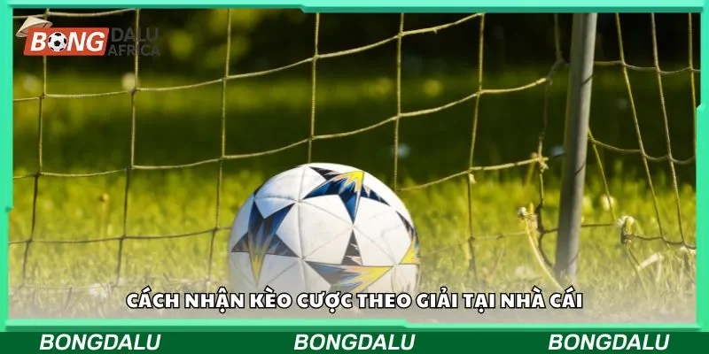 Cách nhận kèo cược theo giải tại nhà cái