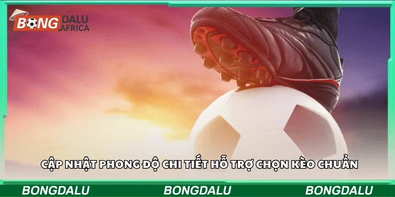 Cập nhật phong độ chi tiết hỗ trợ chọn kèo chuẩn