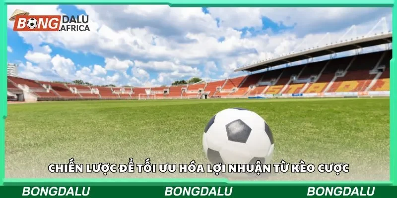Chiến lược để tối ưu hóa lợi nhuận từ kèo cược