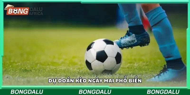 Dự đoán kèo ngày mai phổ biến