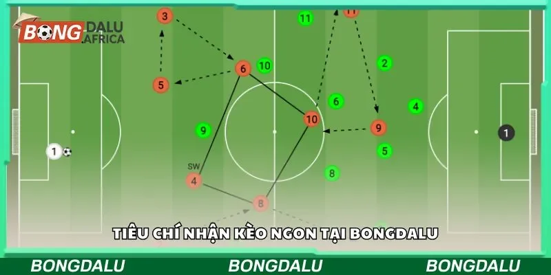 Tiêu chí nhận kèo ngon tại bongdalu