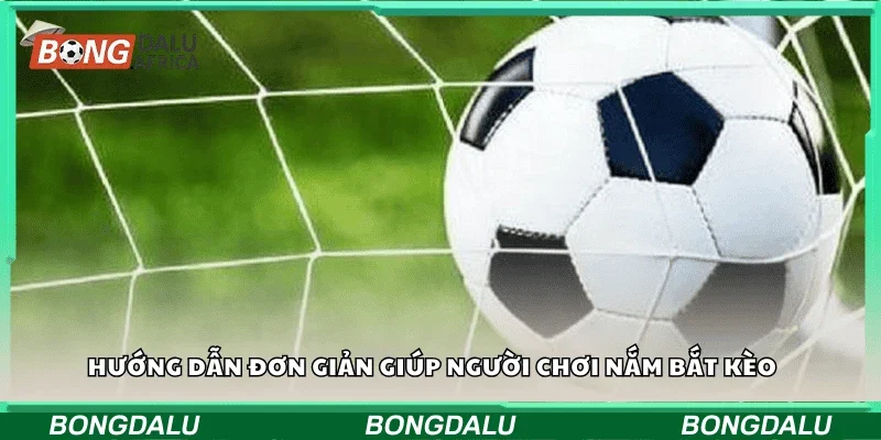 Hướng dẫn đơn giản giúp người chơi nắm bắt kèo 