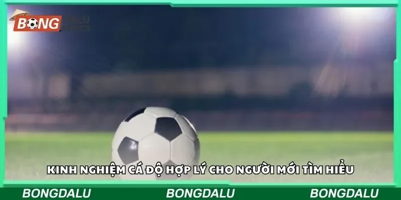 Kinh nghiệm cá độ hợp lý cho người mới tìm hiểu