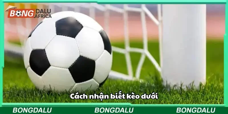 Cách nhận biết kèo dưới