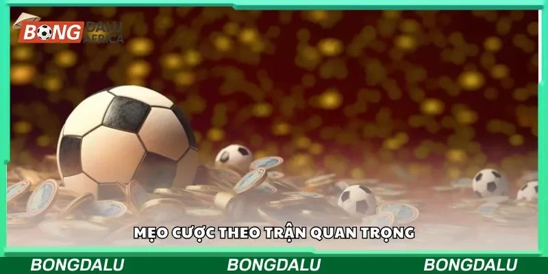 Mẹo cược theo trận quan trọng