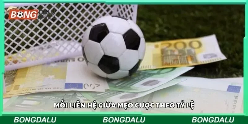 Mối liên hệ giữa mẹo cược theo tỷ lệ