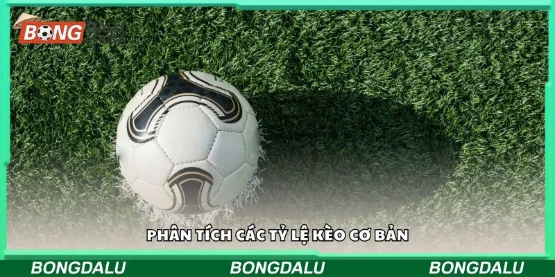 Các lỗi sai khi đọc kèo đơn giản bạn nên biết